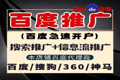 SEM广告投放案例：提升网站流量与转化